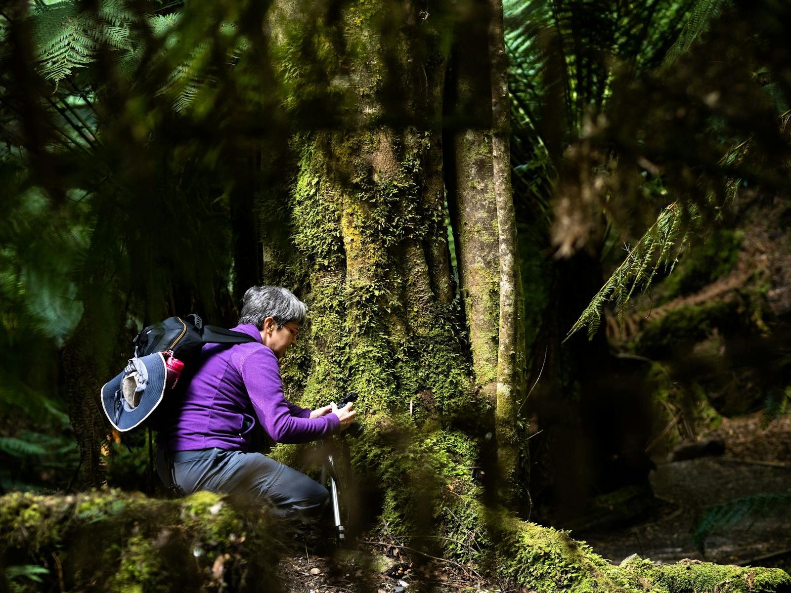 Woman and tree