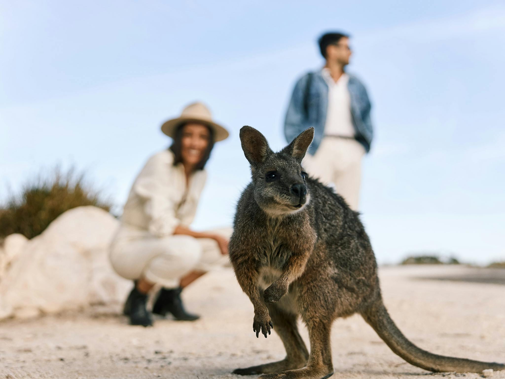Kangaroo Island Adventure by Air