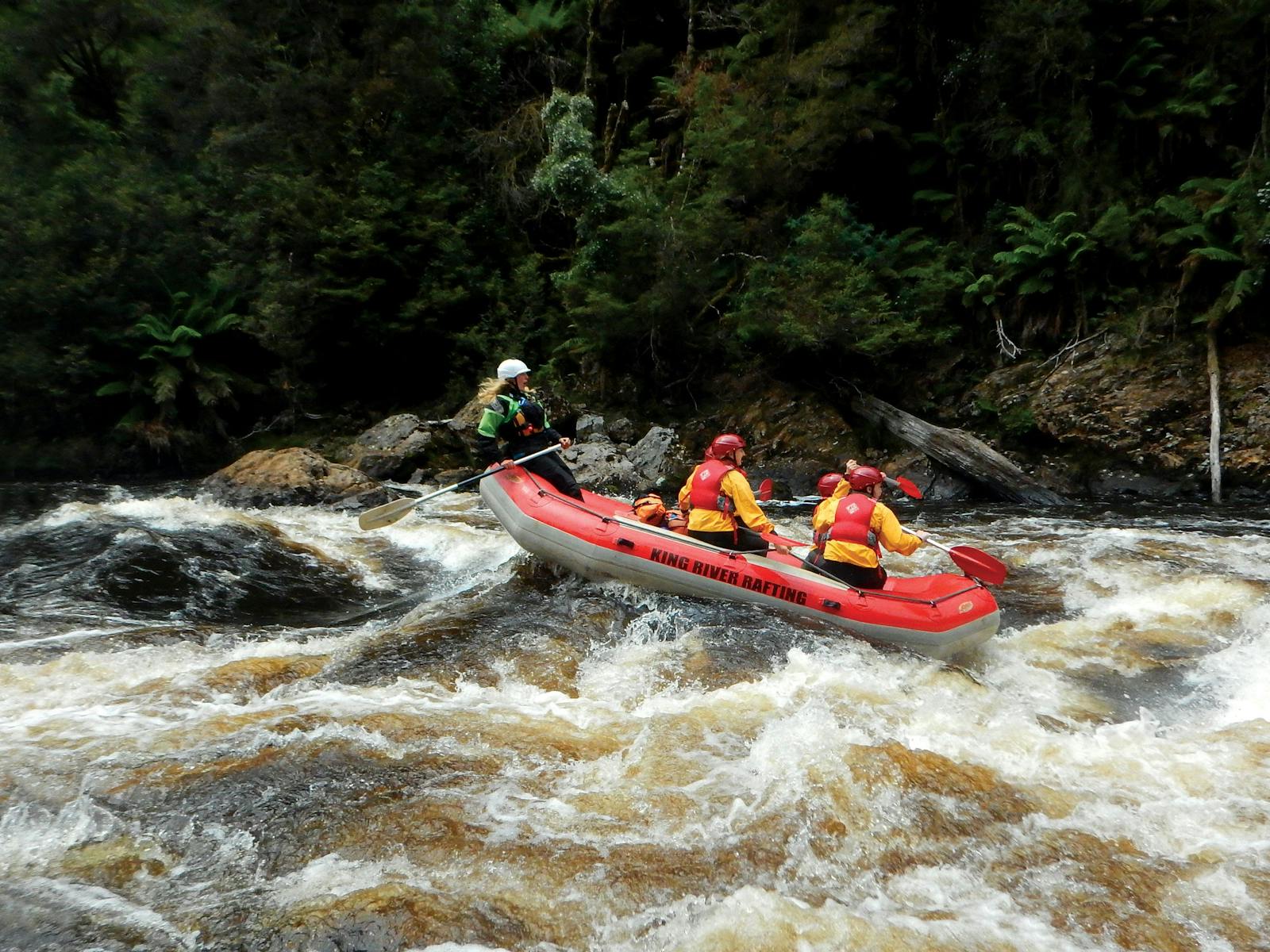 King River Rafting Strahan Tasmania