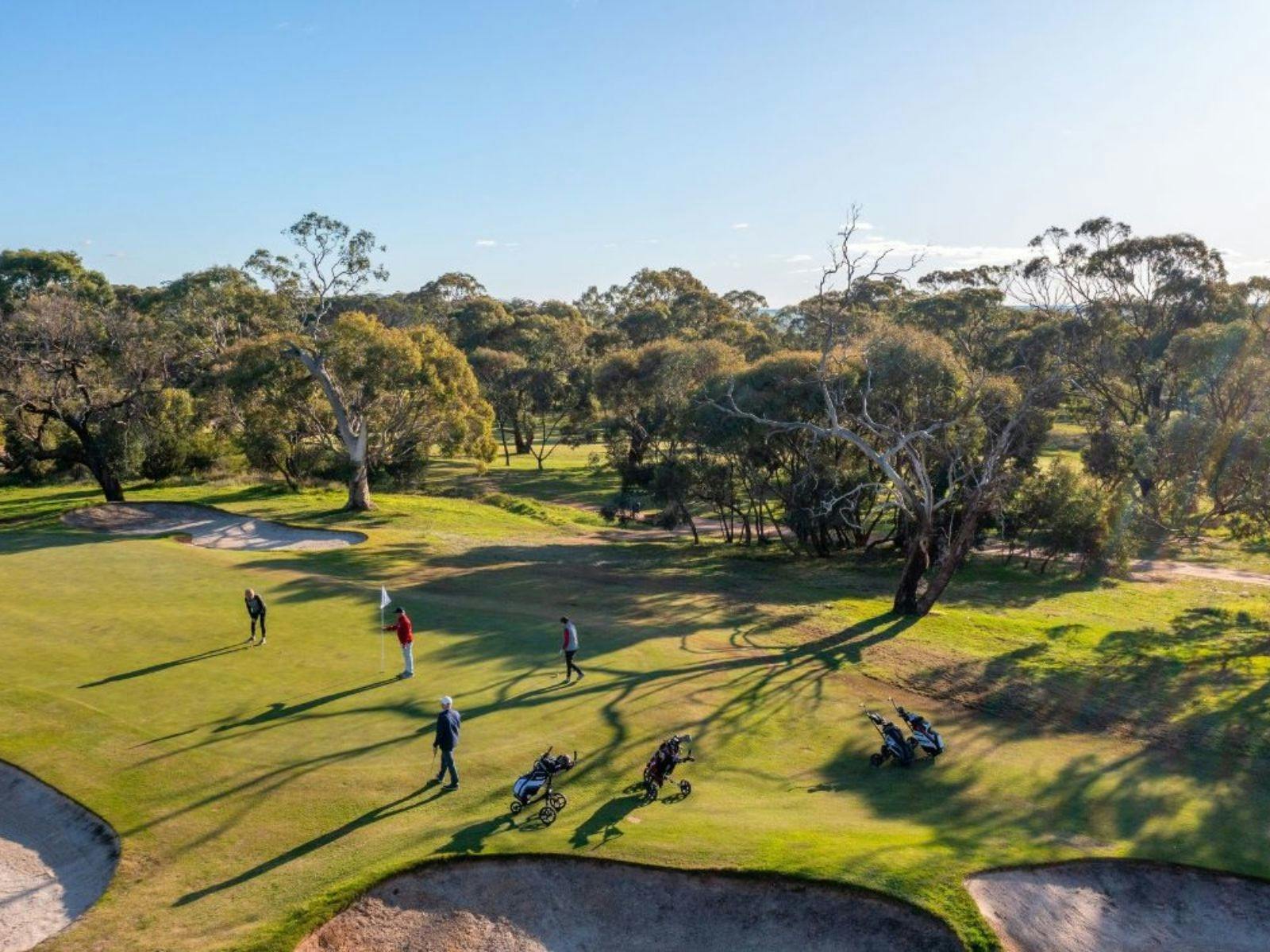 Tanunda Pines Golf Club