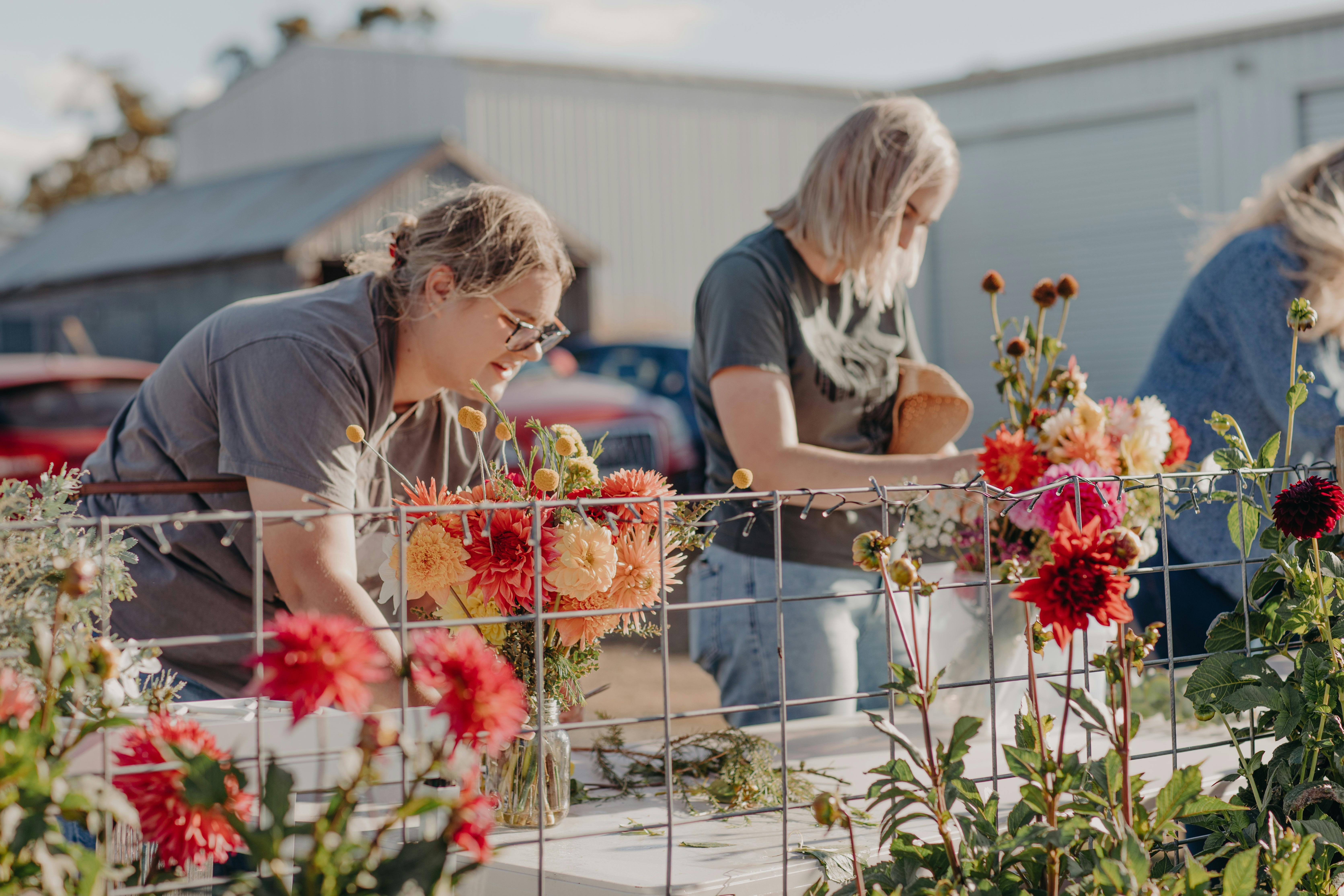 Little Forest Gardens - Pick Your Own Dahlias