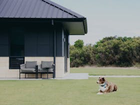 Dog Friendly Accommodation in Robe - Stony Rise Lodge