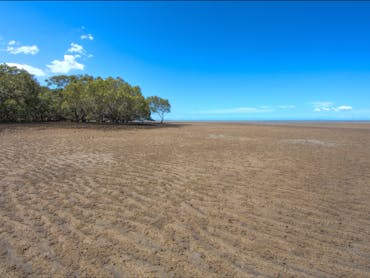 Deception Bay Mangroves near Brisbane (1)_moreton_bay_region