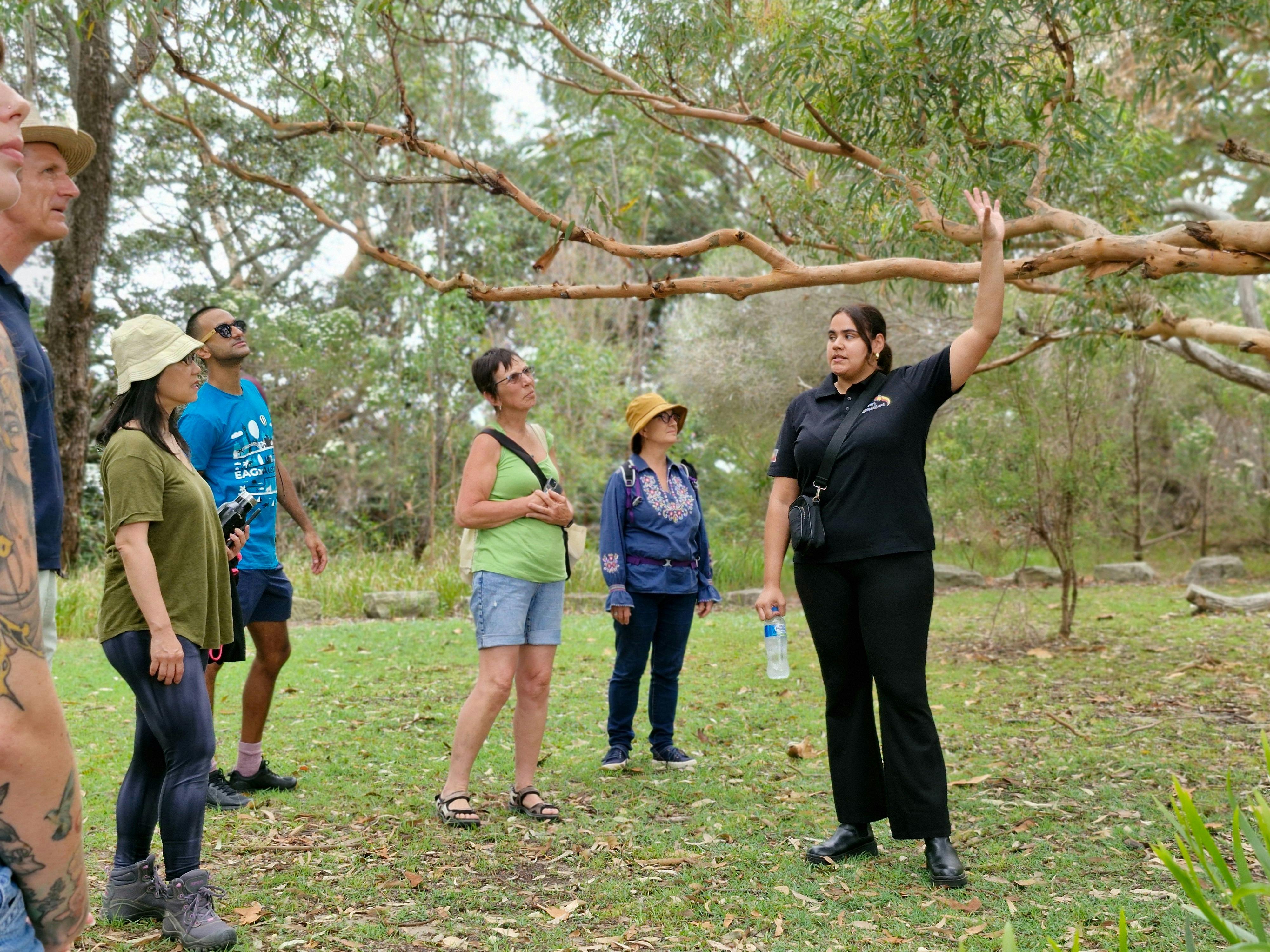 Aborigine-Führer spricht zu einer Gruppe auf einer grasbewachsenen Lichtung, umgeben von Bäumen
