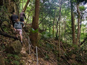 Mount Kembla Ring Track