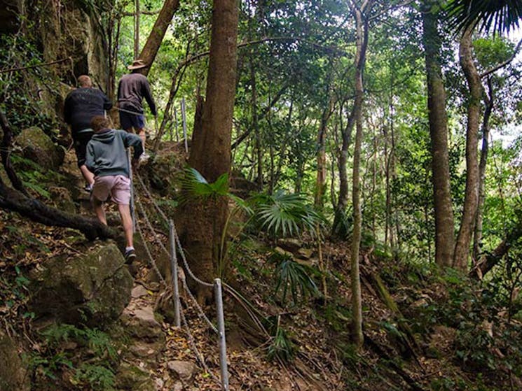 Hiking, Illawarra Escarpment State Conservation Area. Photo: John Spencer