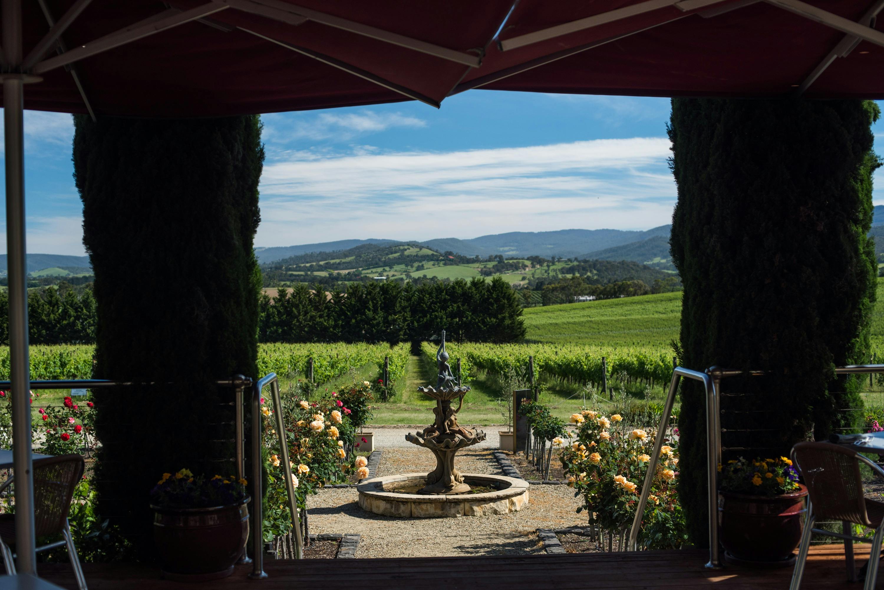 Christmas Day Lunch at Tokar Estate