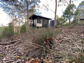 cabin in background amongst native  landscape gum trees fallen branches