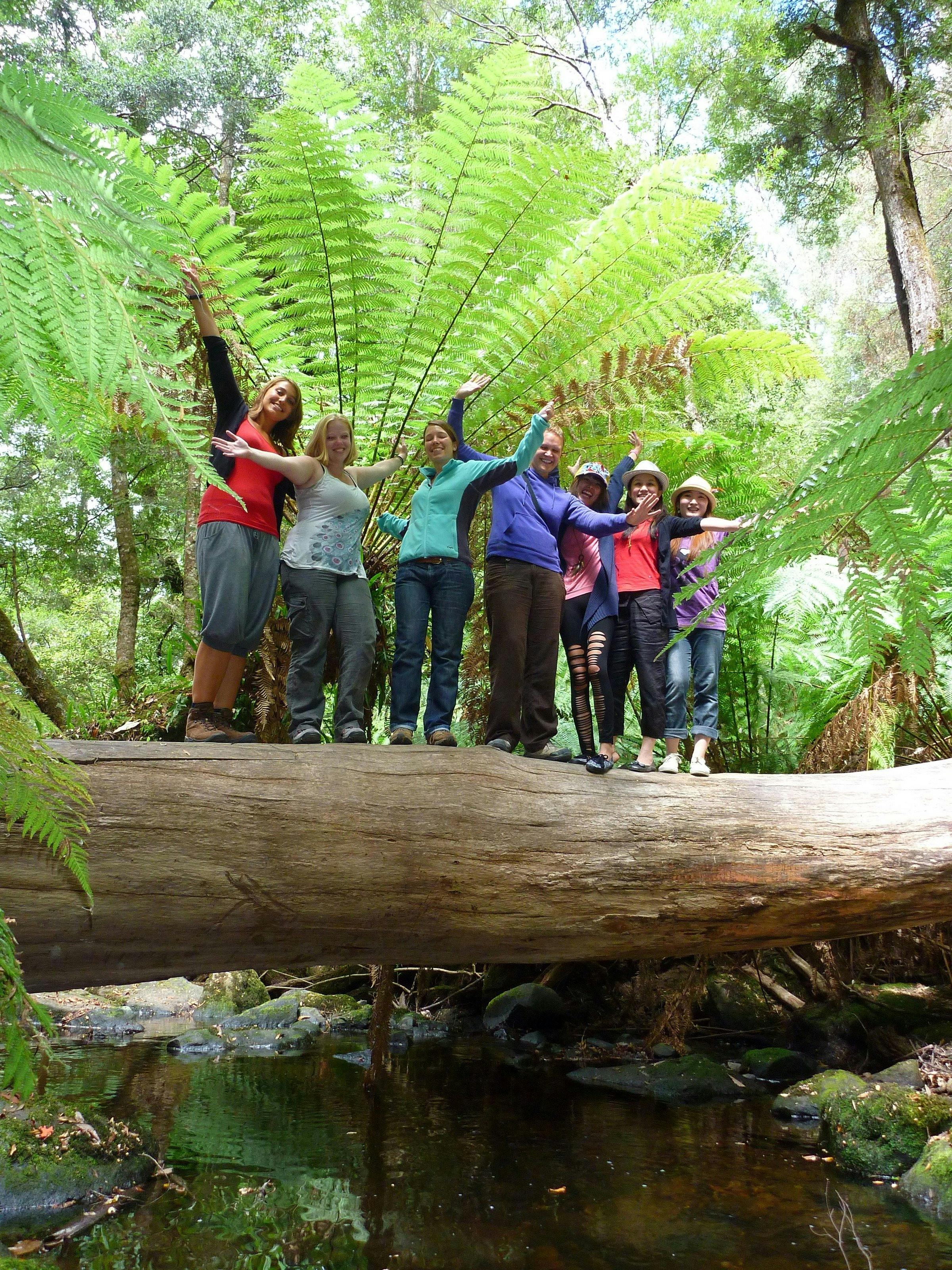 Mt Field National Park