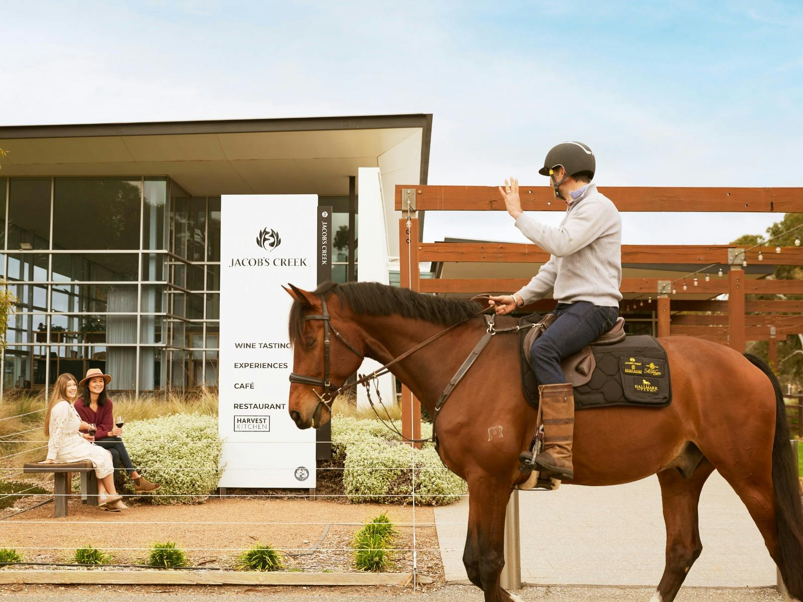 Vineyard Horse-Ride and Taste at Jacob's Creek