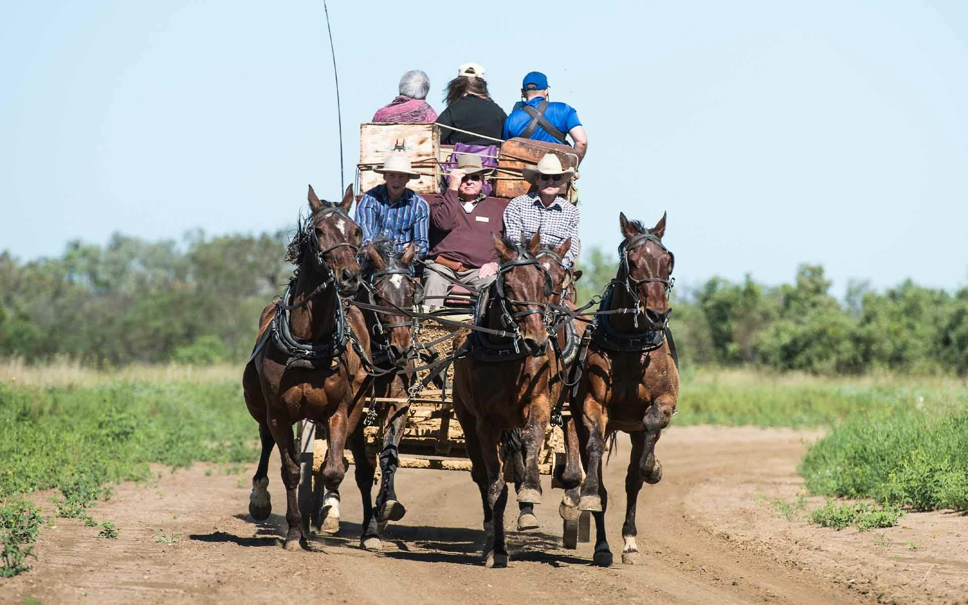 Guests riding the Cobb & Co Stagecoach in gallop