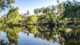 Tumut River Walk