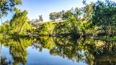 Tumut, Kosciuszko National Park. Credit: Destination NSW