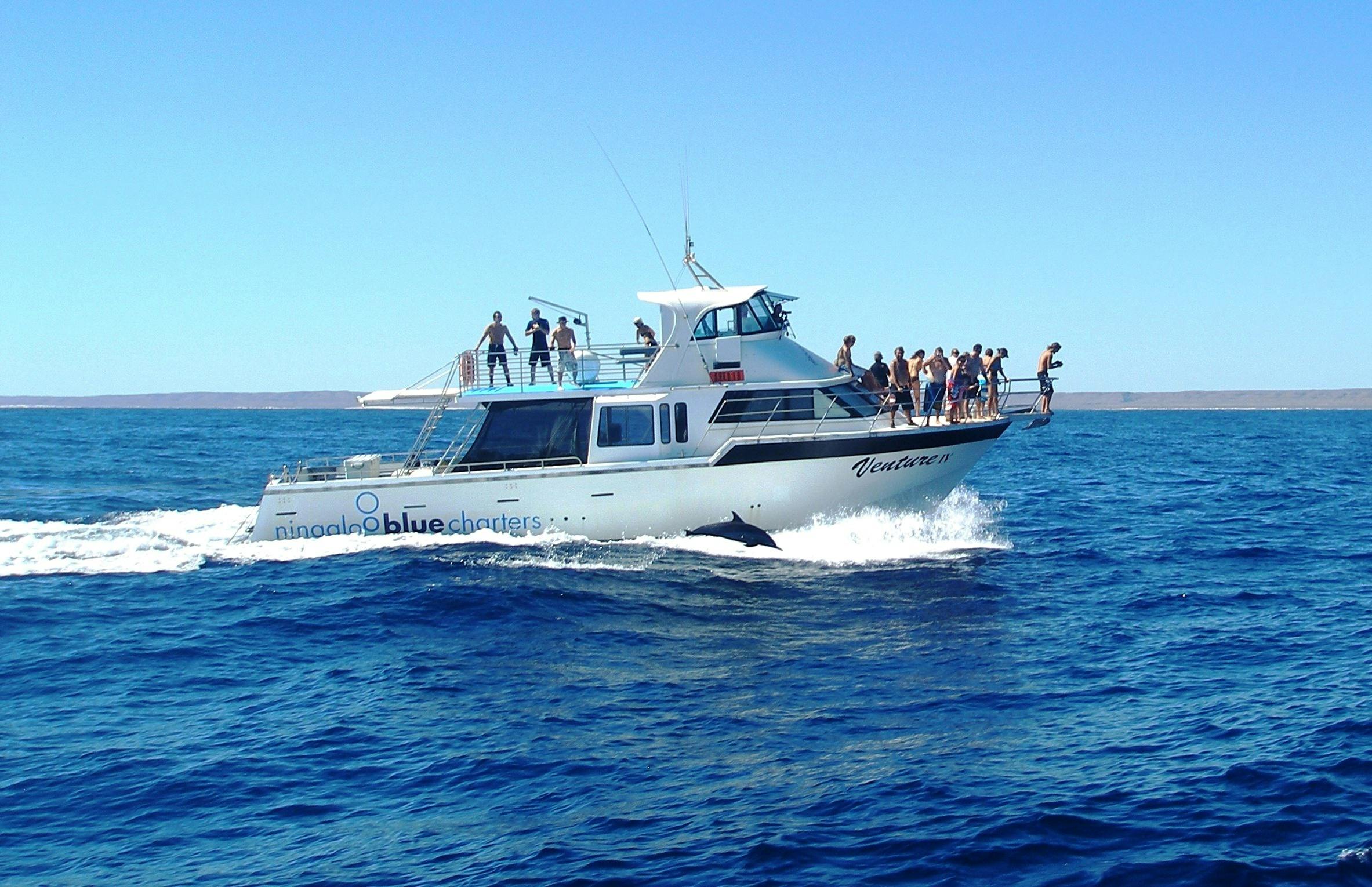 Ningaloo Blue Dive, Exmouth, Western Australia