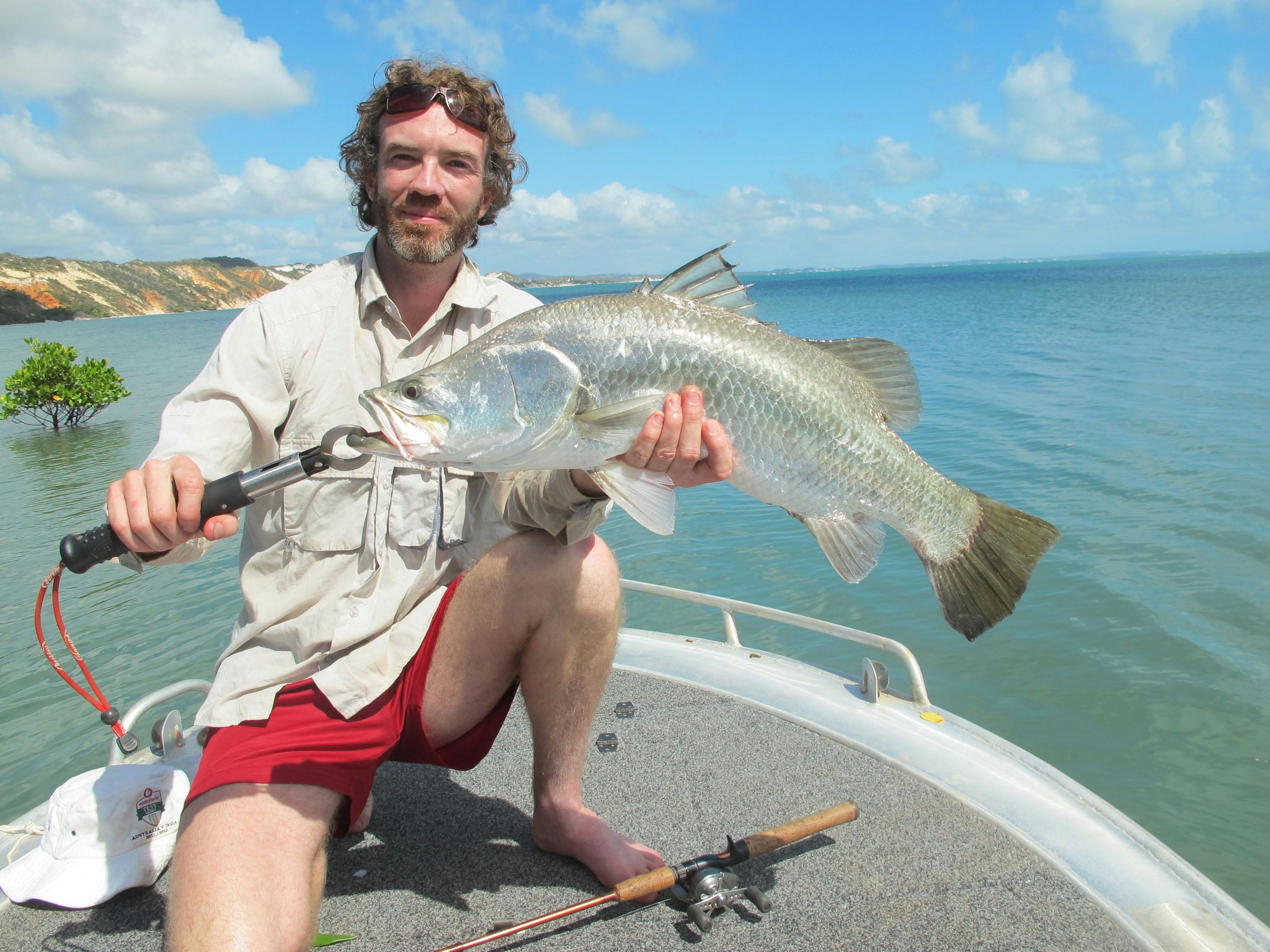 barramundi