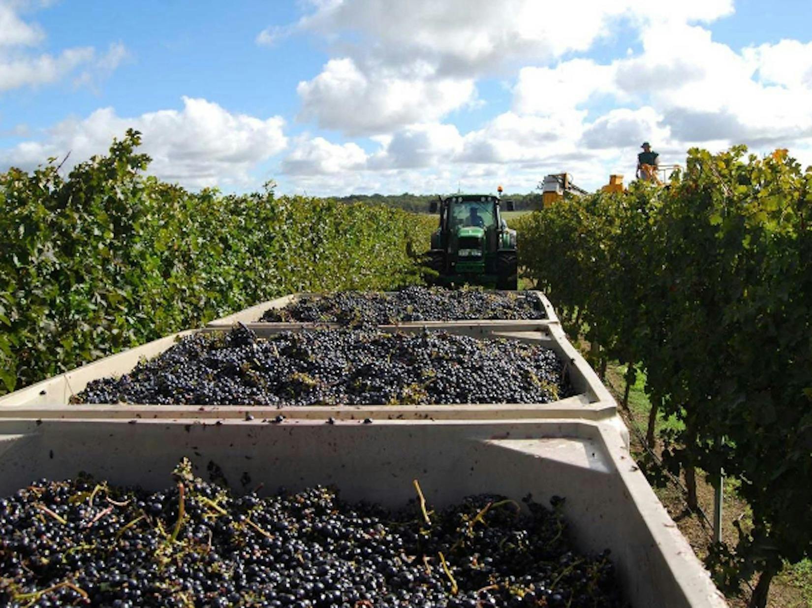 Dickinson Estate Wines