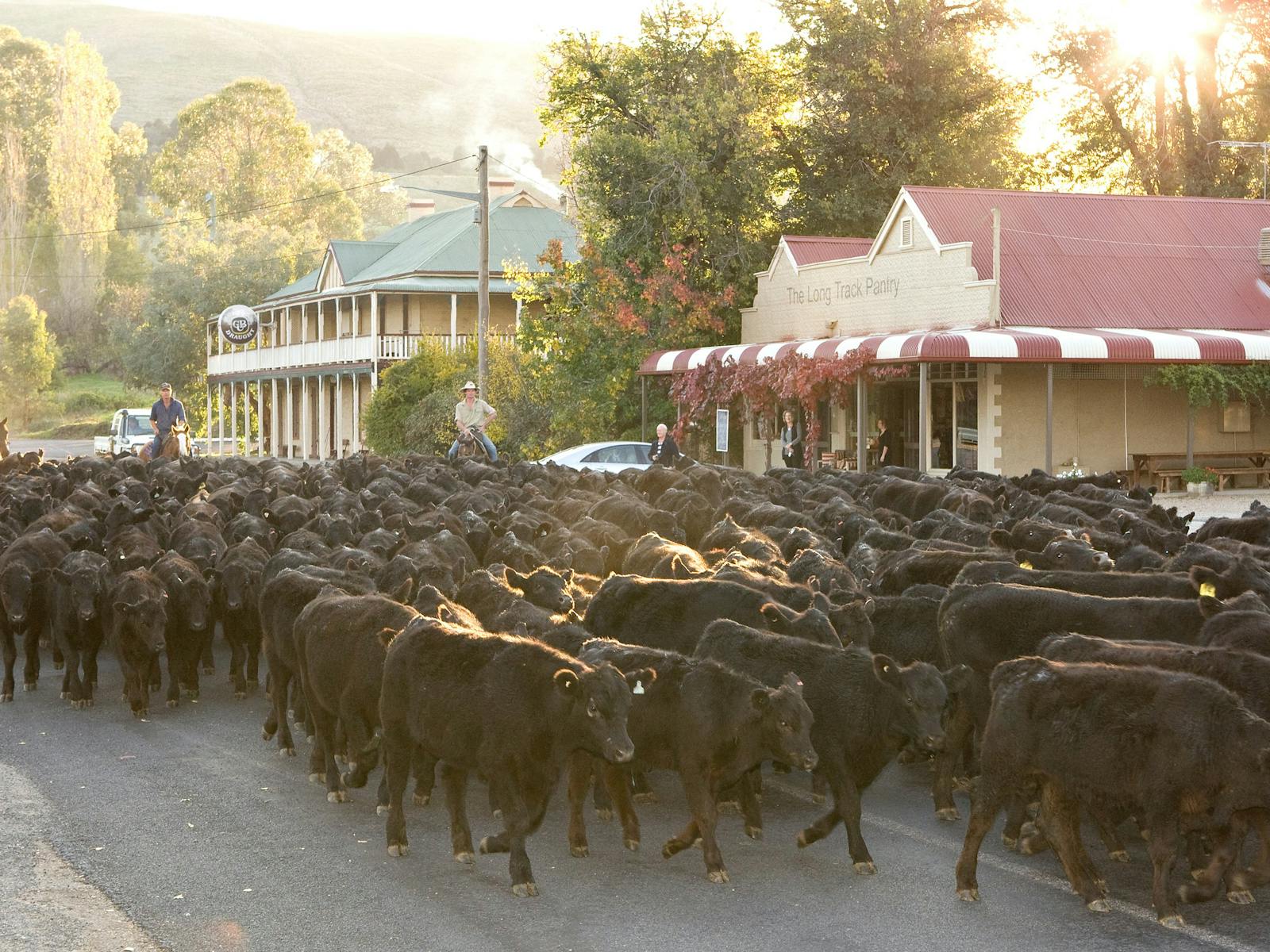 Das Motel liegt günstig in der Nähe des Herzens von Jugiong