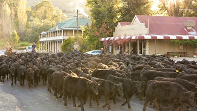 The Motel is conveniently located near Jugiong's heart