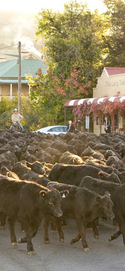 The Motel is conveniently located near Jugiong's heart