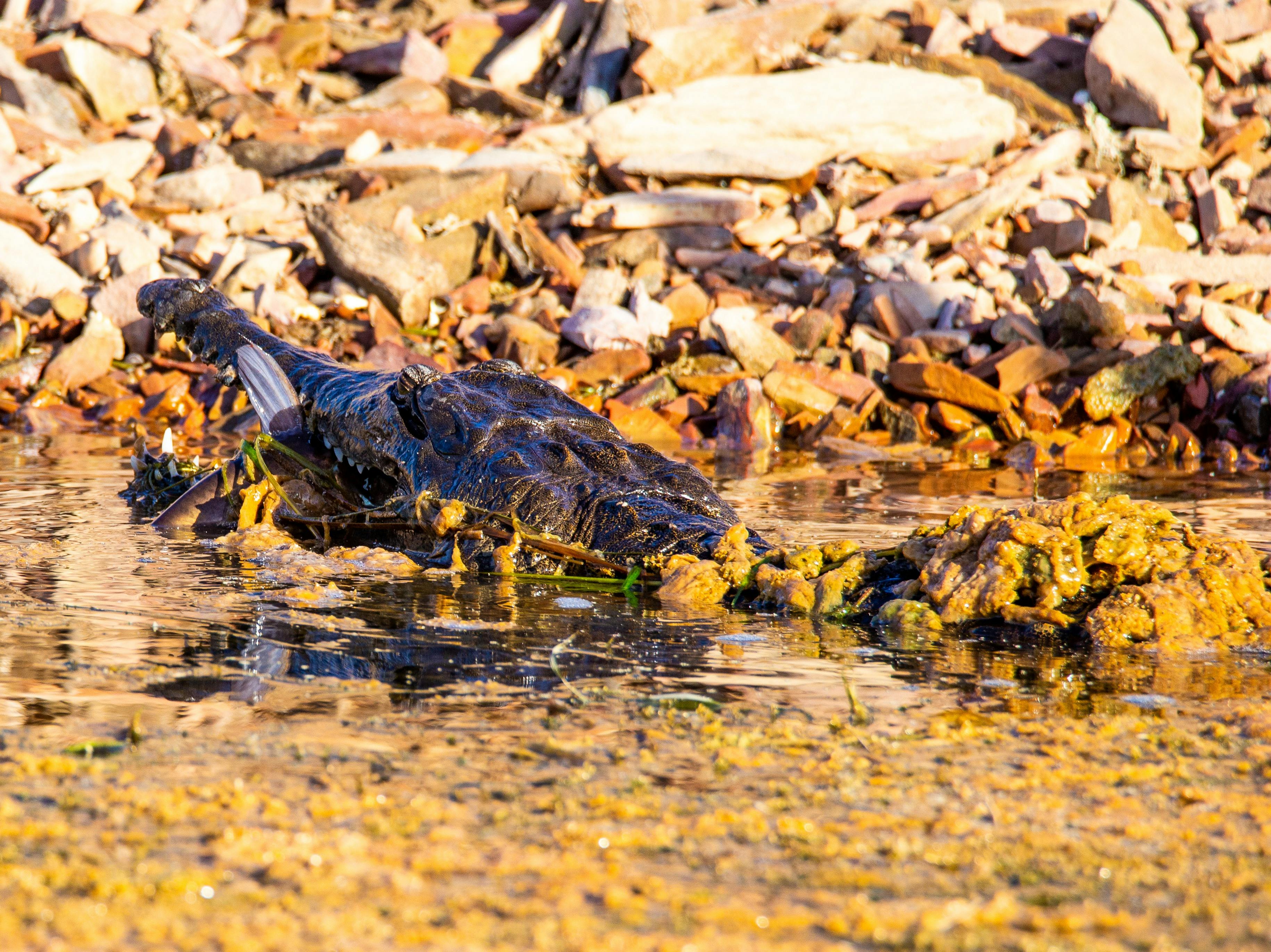 Lake Argyle Cruises, Lake Argyle, Western Australia