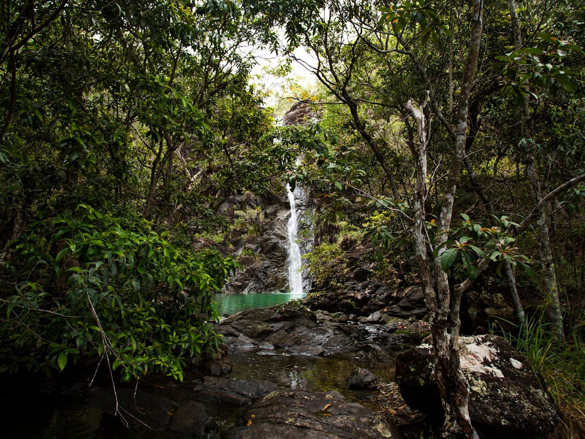 Looking through forest to Attie Creek Falls
