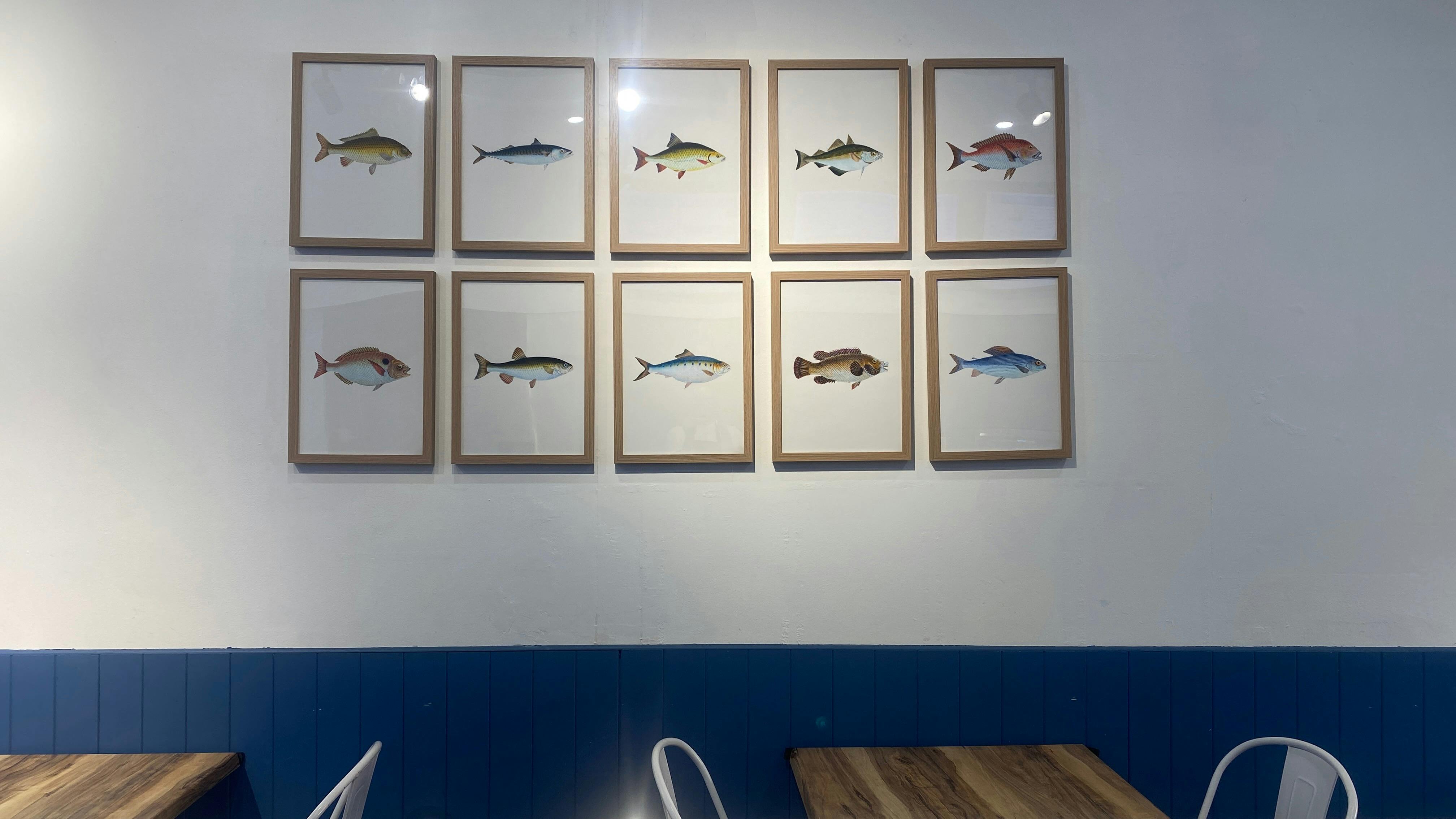 The Bay Fish Shop