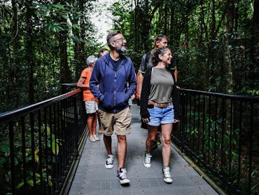 Full and Half Day Daintree Tours Daintree Discovery Tours