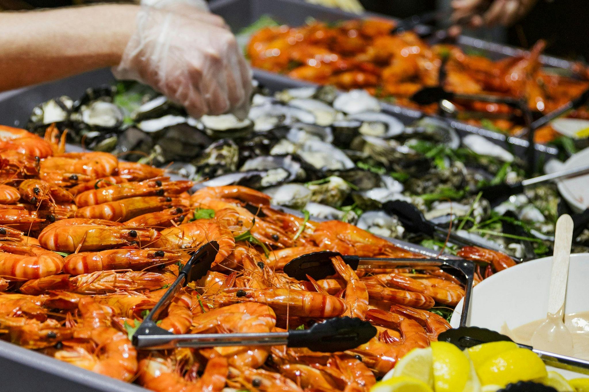 Buffet display of cooked prawns and oysters with lemon wedges