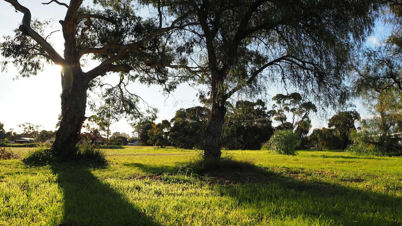 Disc Golf Park Tintinara