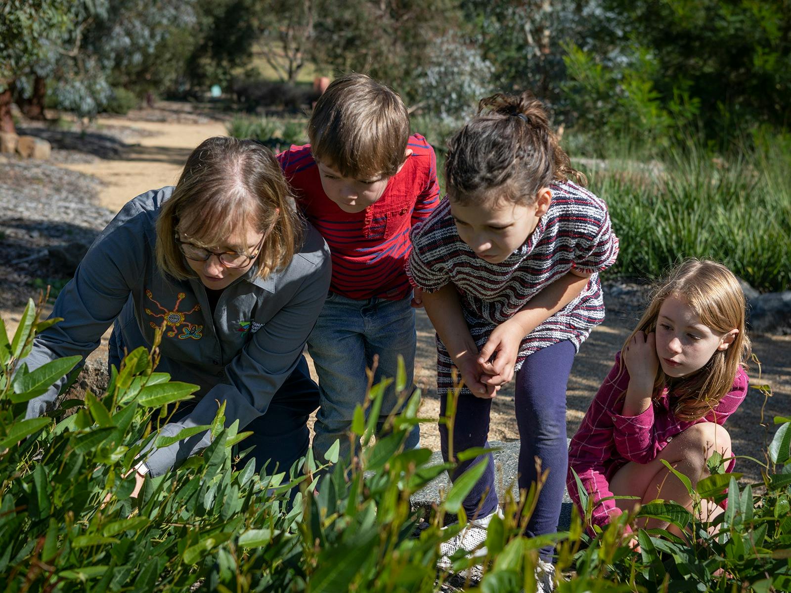 An adult and three children looking closely at some plants in a garden.