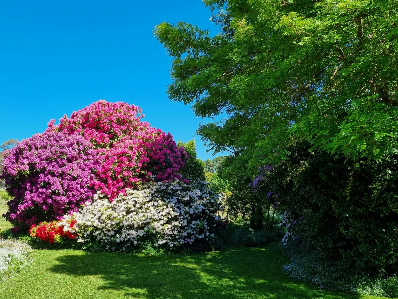 Brangayne Winery, Garden.