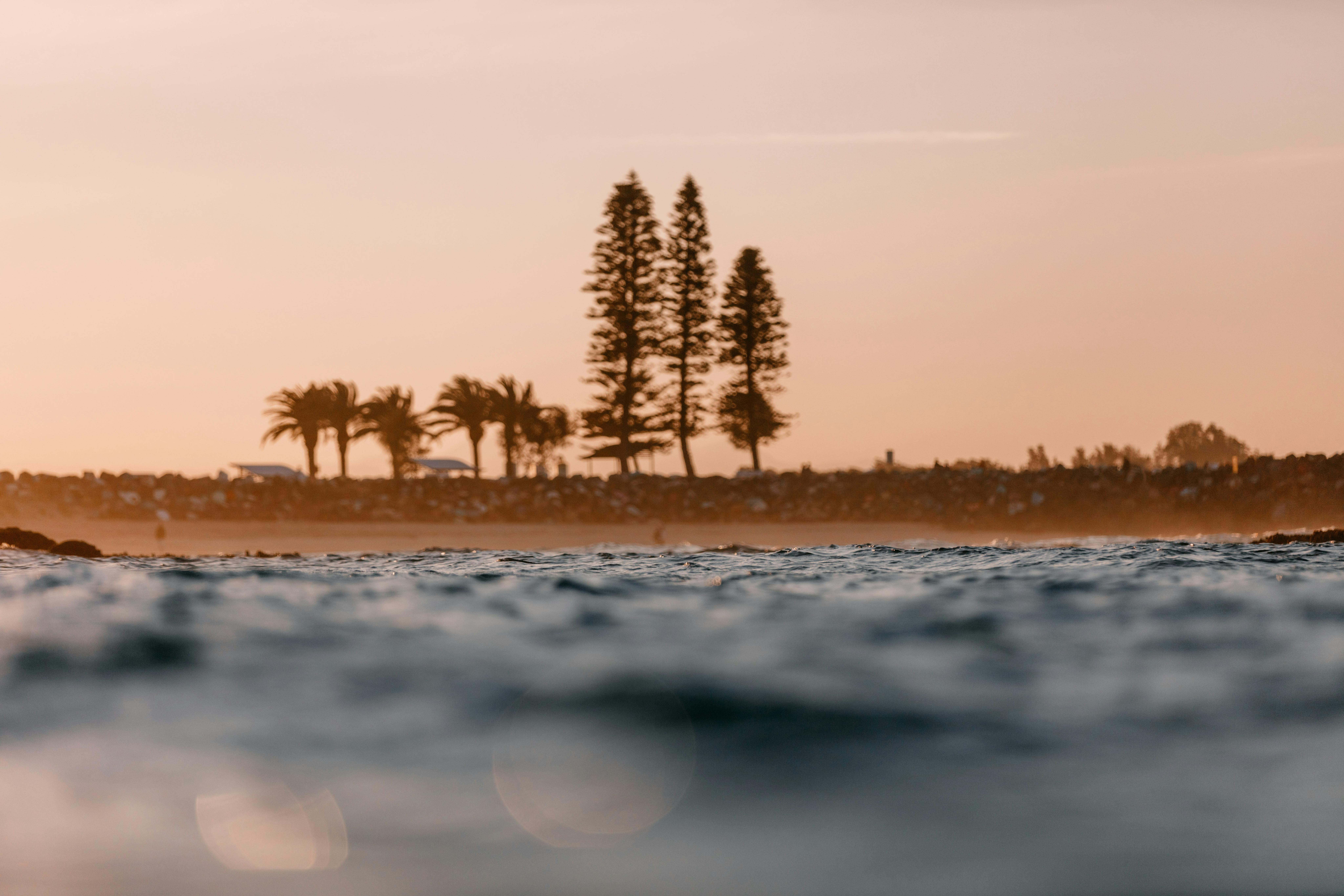 Norfolk Pines Port Macquarie