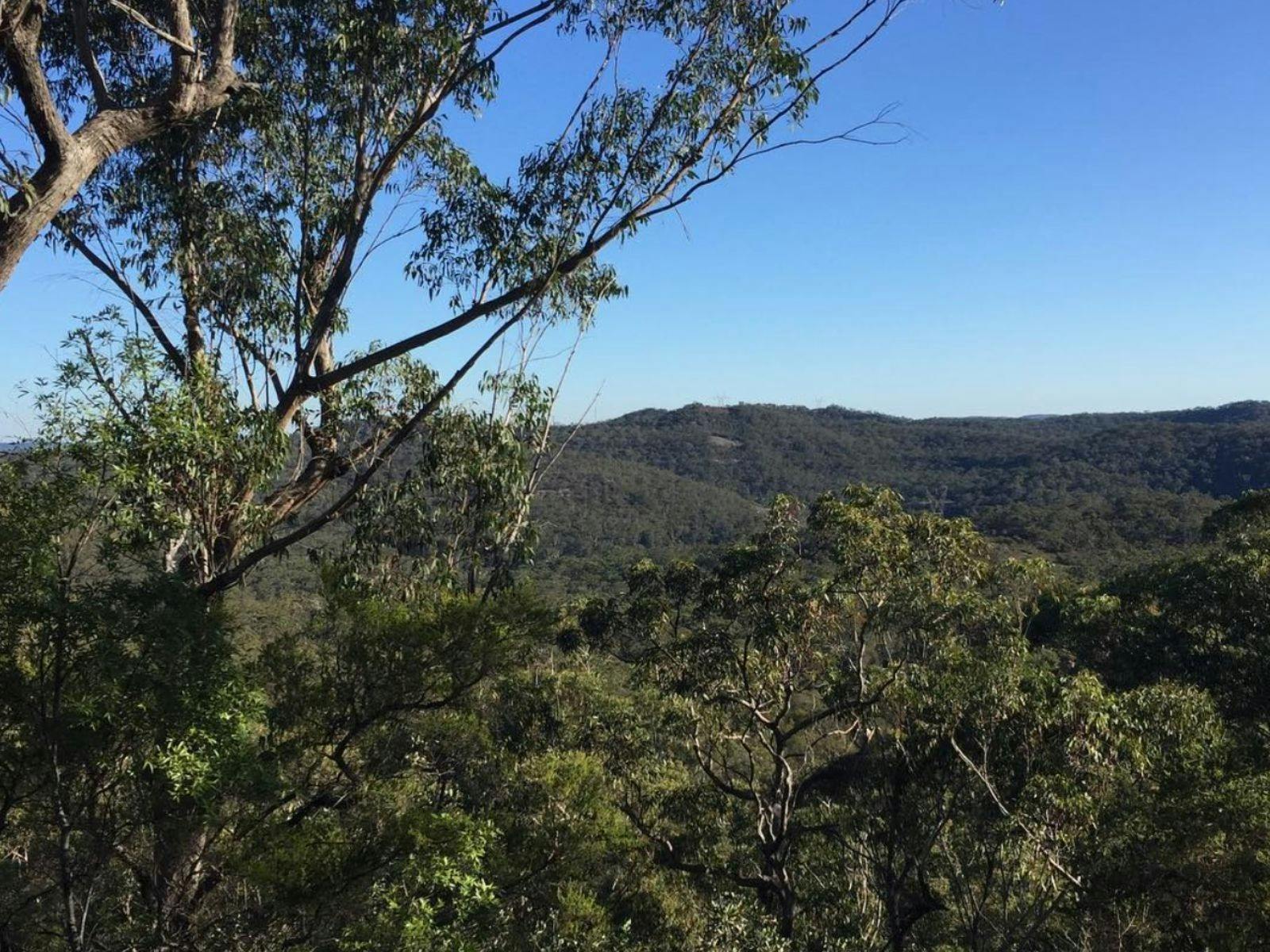 로터 원(Rotor One)과 함께하는 워크어바웃 야생동물 헬리콥터 탑승