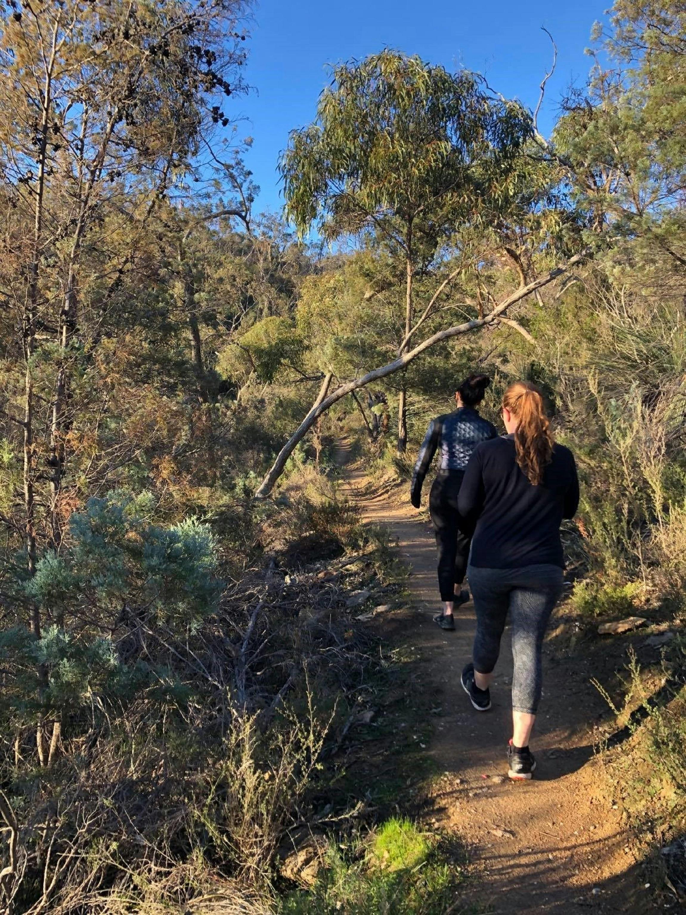 Wellness Barossa Nature Hiking