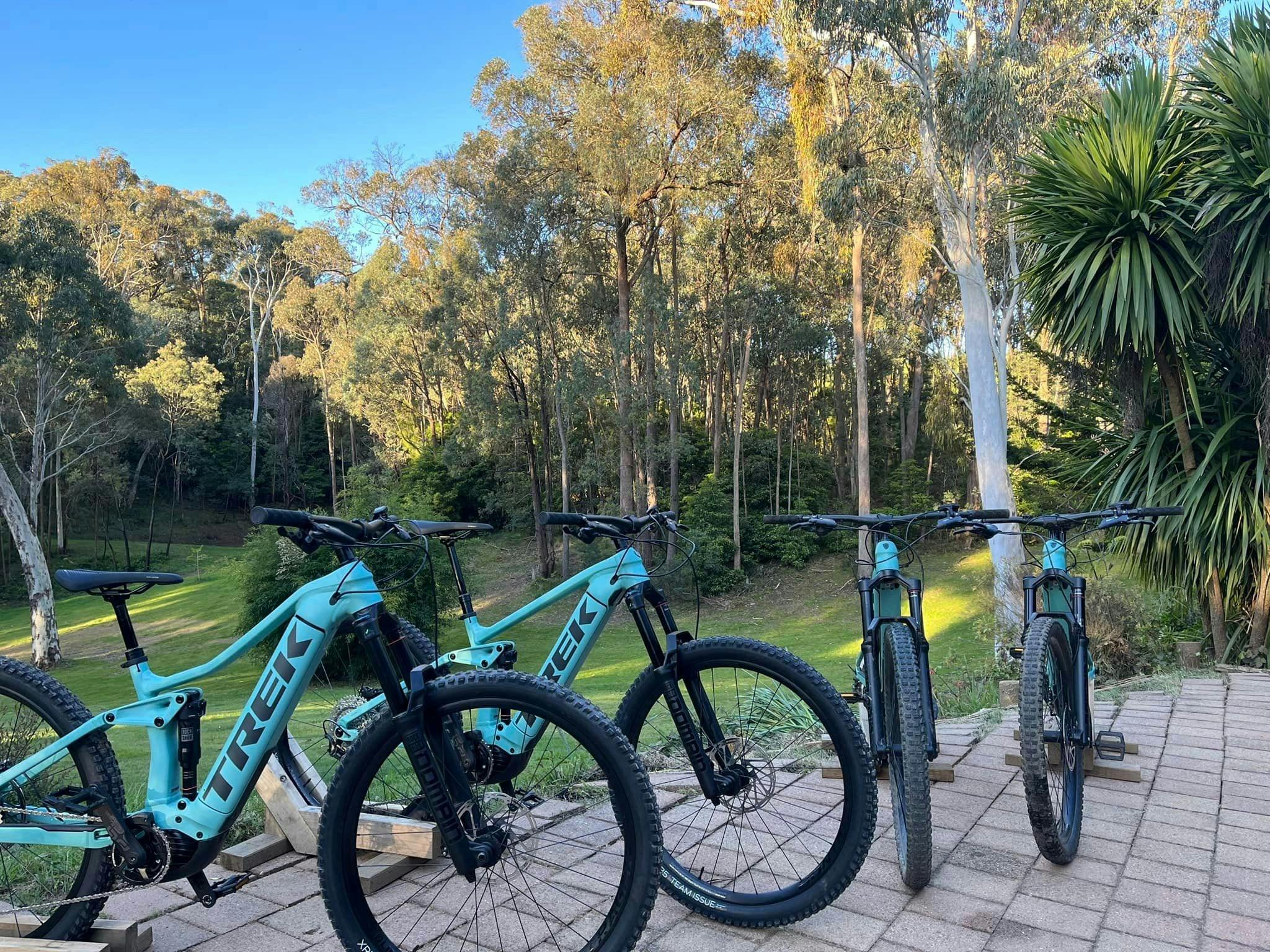 Beechworth eMTB's - dual suspension with dropper post