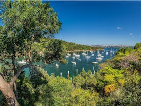 Mosman image