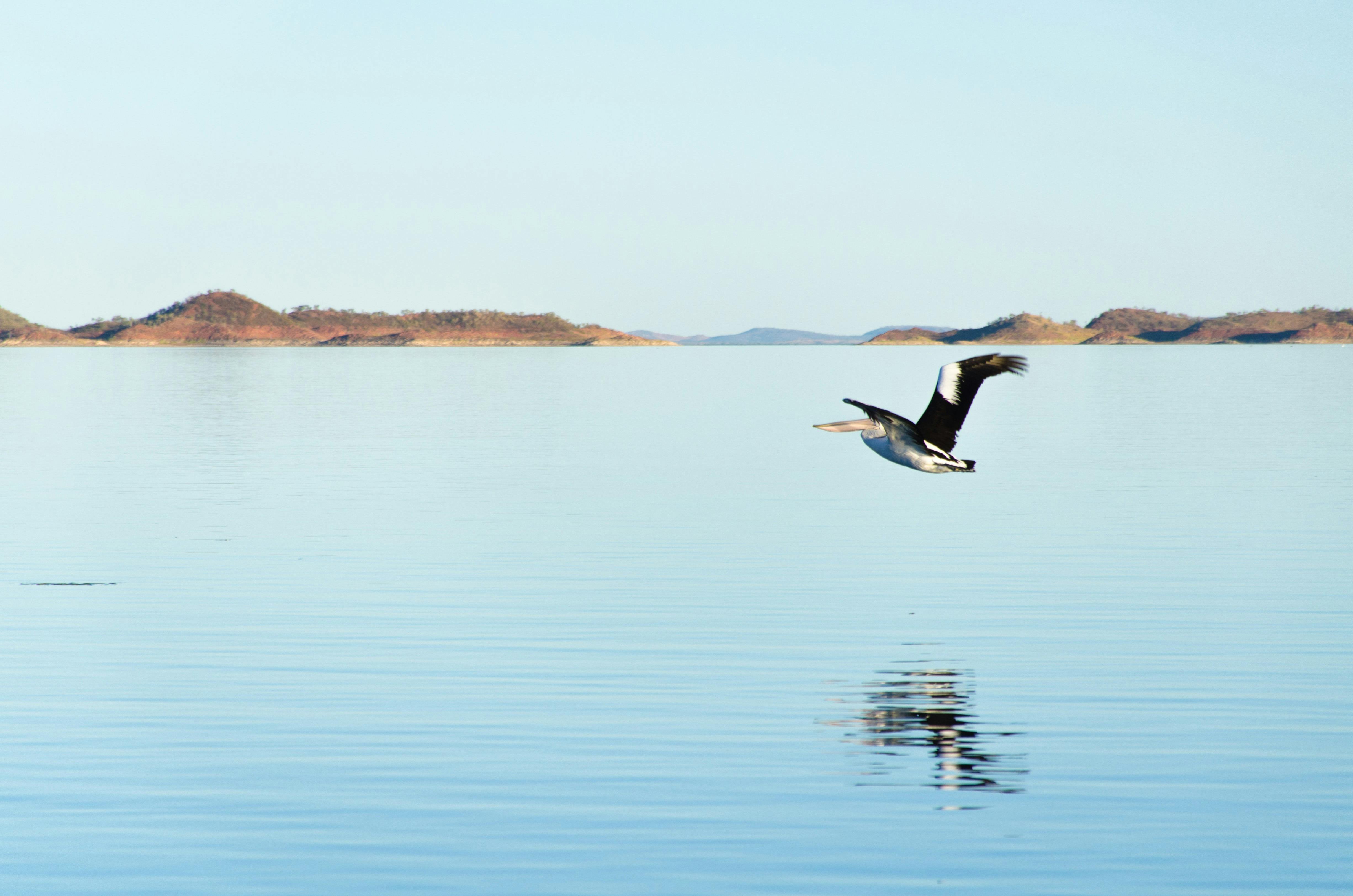 Lake Argyle Cruises, Lake Argyle, Western Australia
