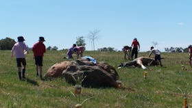 Jim Salmon  Wetland Education Site
