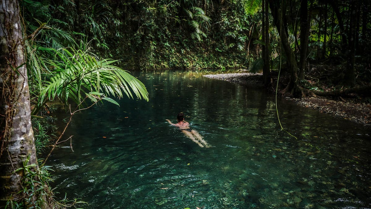 Tour guests enjoying a refreshing rainforest swim with Daintree Discovery Tours