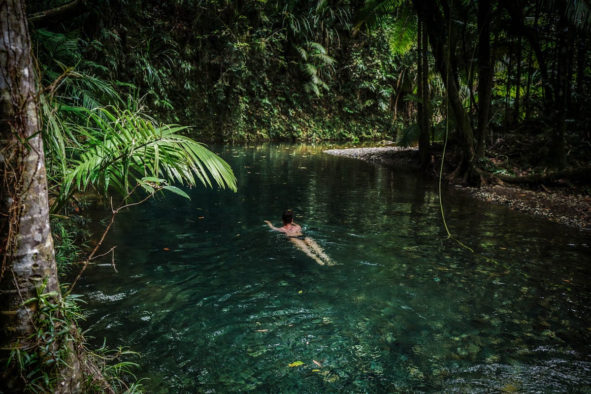 Tour guests enjoying a refreshing rainforest swim with Daintree Discovery Tours