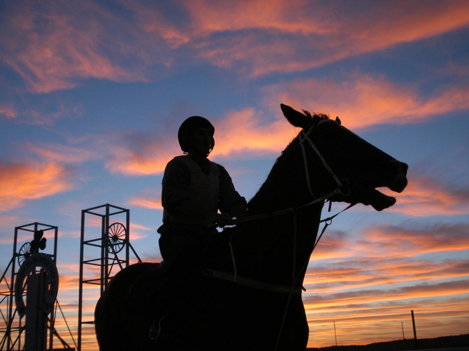 Image for Silver City Cup Races - Broken Hill