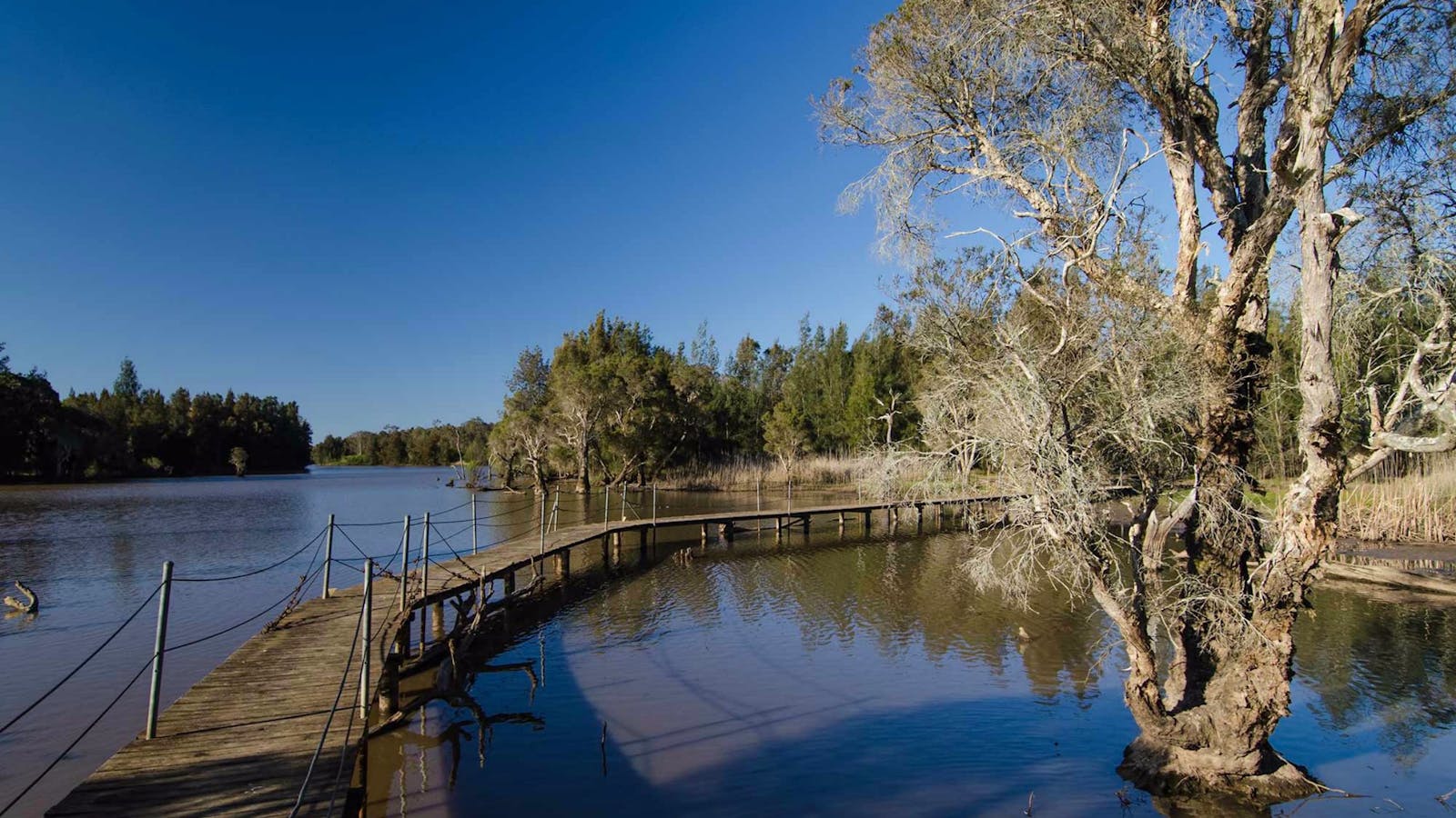 Longneck Lagoon Walking Track