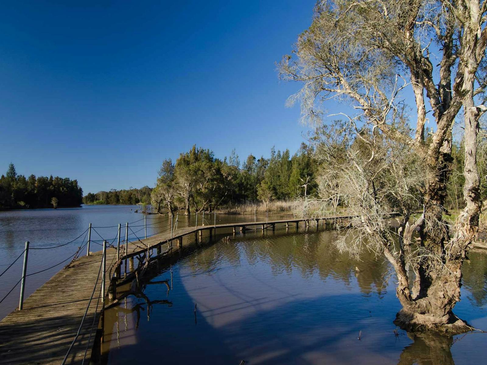 Longneck Lagoon walking track. Photo: John Spencer
