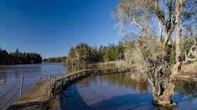 Longneck Lagoon Walking Track