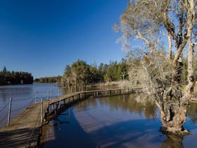 Longneck Lagoon Walking Track