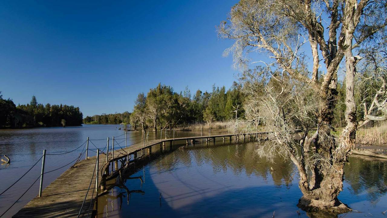 Longneck Lagoon Walking Track