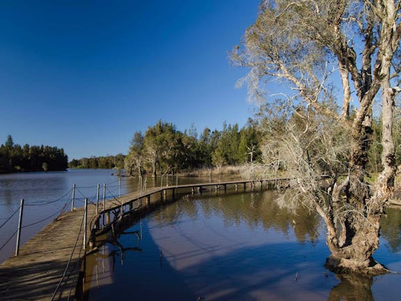 Longneck Lagoon Walking Track