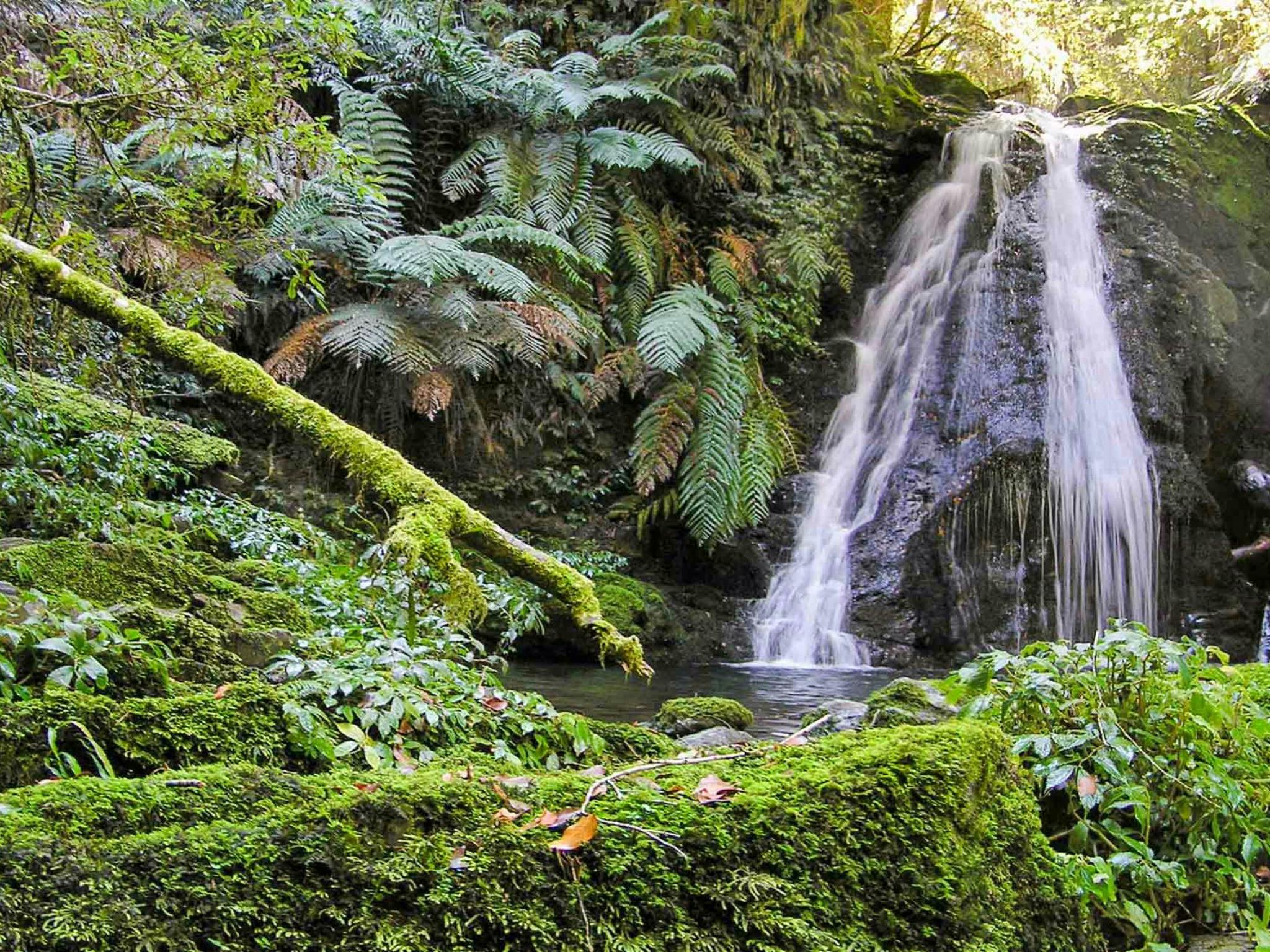 Cascades Walking Track - Armidale | VisitNSW.com