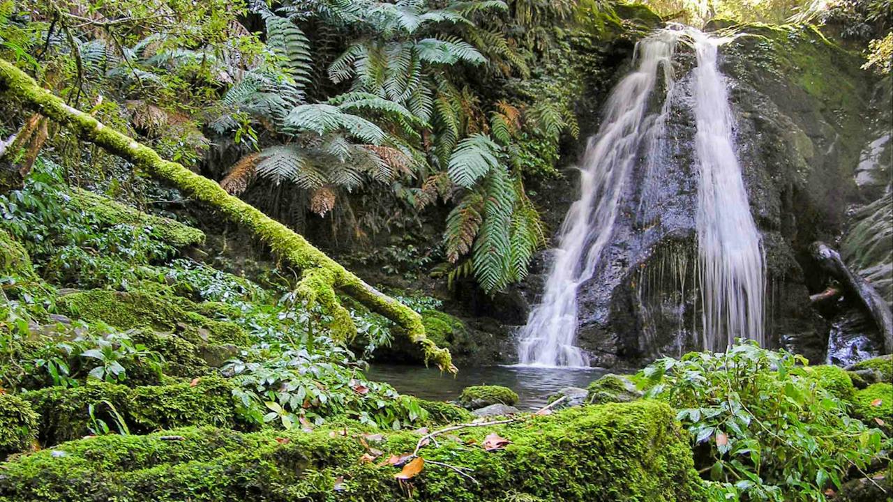 Cascades Walking Track