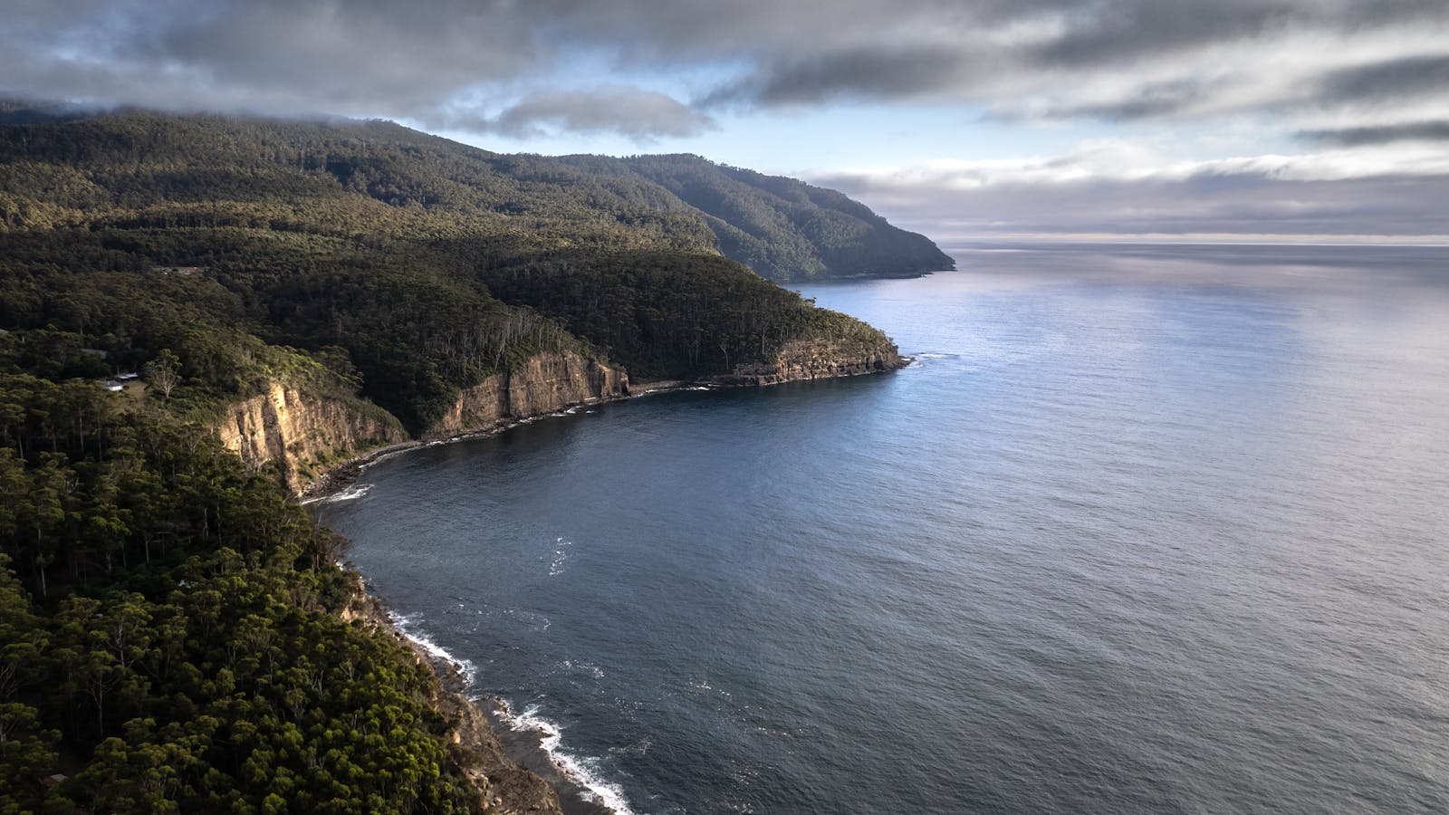The Stand Alone sits quietly on a private headland where forest meets sea